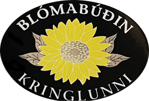 Blómabúðin Kringlunni